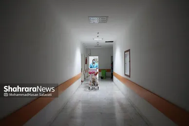 داوطلبان مهربانی