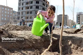 کاشت رایگان درخت مقابل منزل شهروندان مشهدی | پیش&zwnj;بینی ۳۳ هزار اصله نهال برای هفته درختکاری