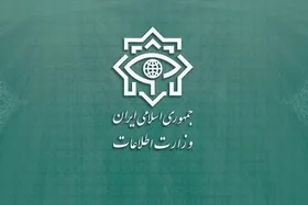 هشدار دوباره وزارت اطلاعات درباره ارائه مشخصات هویتی به وبسایت&zwnj;های جعلی