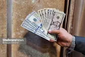 افزایش ۸ هزار تومانی قیمت دلار در مشهد (۷ تیر ۱۴۰۵)