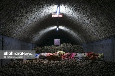 گزارش تصویری | برداشت سیب زمینی از مزارع کشاورزی فیروزکوه