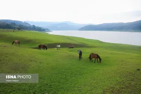 گزارش تصویری | ایران زیباست؛ سوادکوه