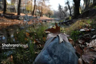 عکس‌هایی از طبیعت پاییزی بوستان وکیل آباد مشهد