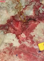 تصاویری تلخ از داخل حرم حضرت شاهچراغ(ع) پس از حادثه تروریستی