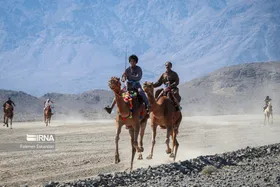 جشنواره شتر طلای بیابان