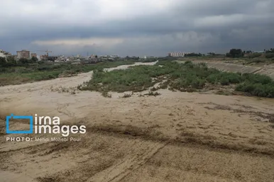 گزارش تصویری | خسارات ناشی از بارندگی شدید و طوفان در ساری (۱۸ شهریور ۱۴۰۵)