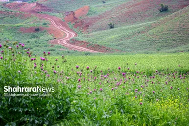 طبیعت زیبای ترکمن صحرا