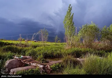 ایران زیباست | کشت کلزا در شهرستان سلسله - لرستان