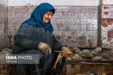 عکس‌هایی از ماهی‌های دودخانه - بندر انزلی