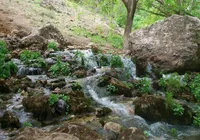 ویدئو | طبیعت بی‌نظیر جوانرود