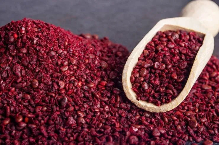 حفظ سلامت مو با سماق! + طرز تهیه ماسک مو