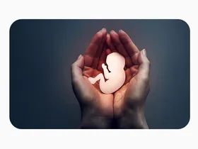 نجات ۱۱۲ نوزاد از سقط جنین در کاشمر | مرکز نفس، مشاوره&zwnj;های تخصصی انجام می&zwnj;دهد