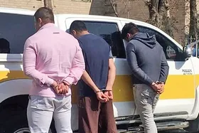انهدام باند سرقت&zwnj;های سریالی از کشتزار&zwnj;های مشهد