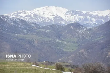 گزارش تصویری | سرشماری حیات وحش جنگل‌های هیرکانی رودبارک - سمنان