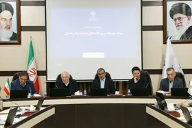 روند توسعه نیروگاه&zwnj;های تجدیدپذیر خراسان رضوی شتاب می&zwnj;گیرد | اتصال ۲۴۲ مگاوات به شبکه برق استان
