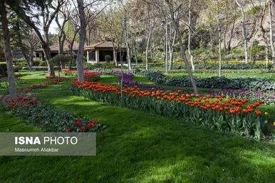 ایران زیباست | دهمین جشنواره لاله‌های کرج