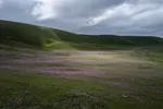 قندوز در آستانه بهار + عکس