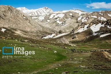 گزارش تصویری | «زندگی عشایری»
