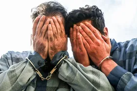 راز سرقت مرموز ماهی&zwnj;های پرورشی از حوضچه&zwnj;های &laquo;آل&raquo; مشهد کشف شد