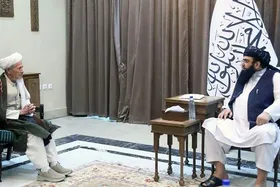 طالبان می&zwnj;گویند که مشکلات شیعیان را حل می&zwnj;کنیم