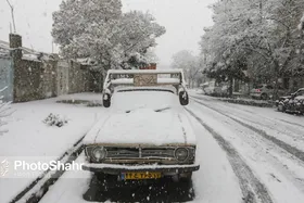 امدادرسانی به ۱۳۵۷خانوار توسط امدادگران هلال&zwnj;احمر خراسان رضوی