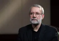 ویدئو | علی لاریجانی در طریق کربلا