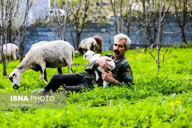 نوروزگردی | زندگی روستایی در لفور سوادکوه