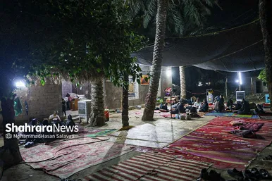 گزارش تصویری | پیاده روی شبانه زائران اربعین در طریق العلماء