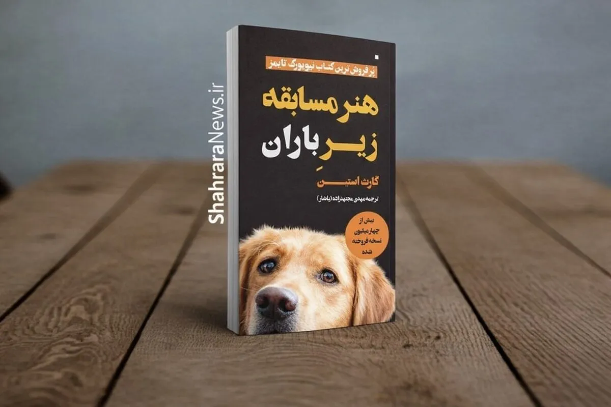 «هنر مسابقه زیر باران» به بازار  کتاب رسید | روایت زندگی از چشم‌های یک سگ