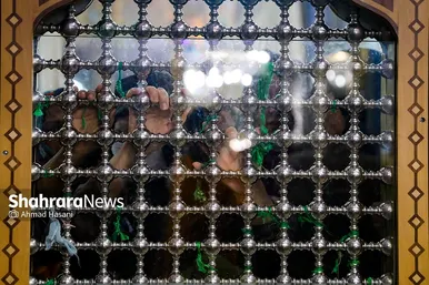 حال و هوای حرم مطهر رضوی در شب میلاد امام رضا(ع)