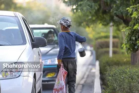 شناسایی ۳۴۰ کودک کار در مشهد در ۹ماهه نخست ۱۴۰۳