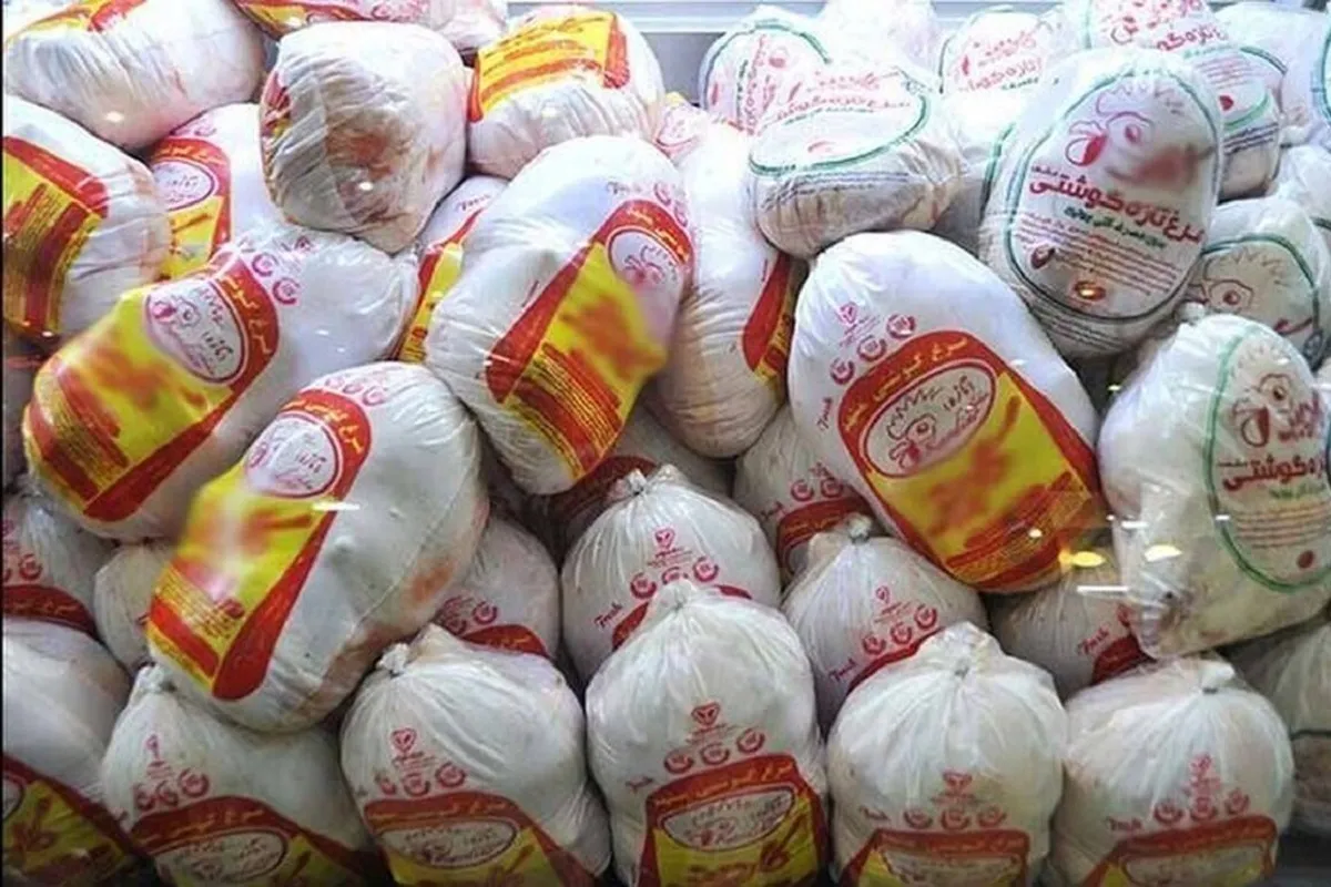۵۰۰ هزار کیلوگرم مرغ تنظیم بازاری در راه مراکز عرضه خراسان رضوی