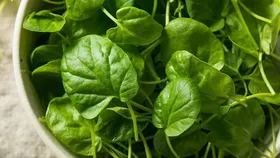 چند توصیه درباره نحوه نگهداری و مصرف سبزیجات