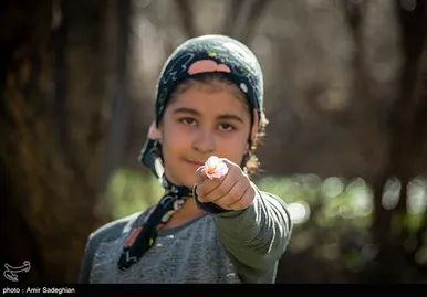 ایران زیباست | اندک اندک می‌رسد اینک بهار
