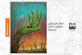 کارتون/جنگل&zwnj;های زاگرس همچنان در آتش می&zwnj;سوزد