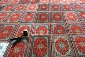گلستانی امن‌تر از آسمان