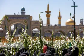 گلباران حرم مطهر رضوی در روز میلاد حضرت معصومه (س)