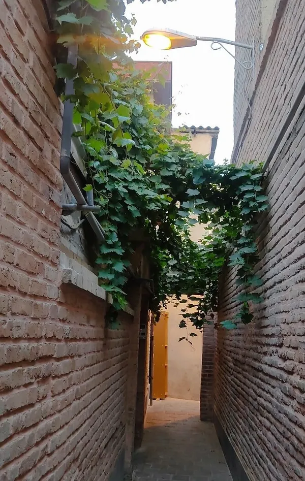 گزارش تصویری | خالق قصه‌های مجید، ۸۱ ساله شد