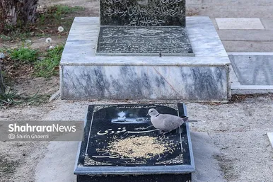 گزارش تصویری | زیارت اهل قبور در آخرین پنجشنبه سال