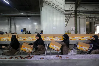 بازدید فرماندار مشهد از واحد های صنعتی مواد غذایی
