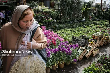 حال و هوای بازار گل در آستانه عید نوروز