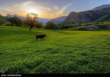 ایران زیباست | طبیعت بهاری منطقه دره اناران سپیدشت خرم آباد