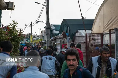 بازار گل محلاتی تهران در آستانه سال نو
