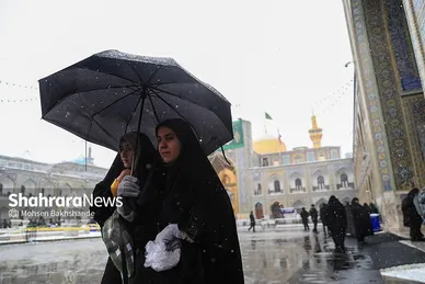 گزارش تصویری | یک روز برفی در حرم مطهر امام رضا(ع) - ۲۱ بهمن ۱۴۰۳