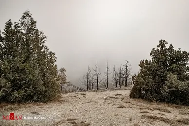 آتش سوزی منطقه حفاظت شده جهان نمای  گلستان