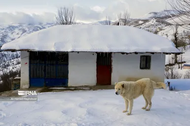 ایران زیباست | طبیعت برفی روستای «زندانه»