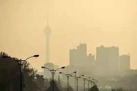 مدارس تهران فردا شنبه ۸ آذر مجازی شد