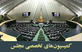 بررسی جزئیات بودجه ۱۴۰۲ و گزارش رئیس بانک مرکزی از نوسانات ارزی در جلسات این هفته کمیسیون&zwnj;های مجلس (۸ بهمن ۱۴۰۱)