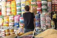 توزیع گسترده کالا‌های اساسی با نرخ مصوب در مشهد | تشدید نظارت‌ها