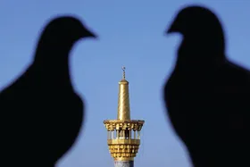 ۸ دقیقه تا بهشت
